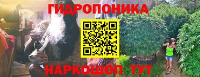 молекула духа Берёзовский