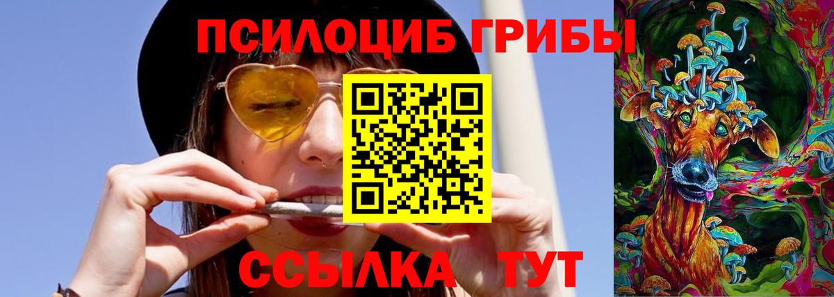 Псилоцибиновые грибы MAGIC MUSHROOMS  Вход с VPN  Домодедово  Галлюциногенные грибы Magic Shrooms 