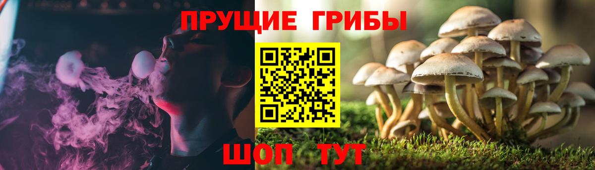 Псилоцибиновые грибы мухоморы Домодедово